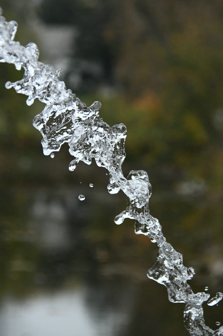 氨氮检测 氨氮检测