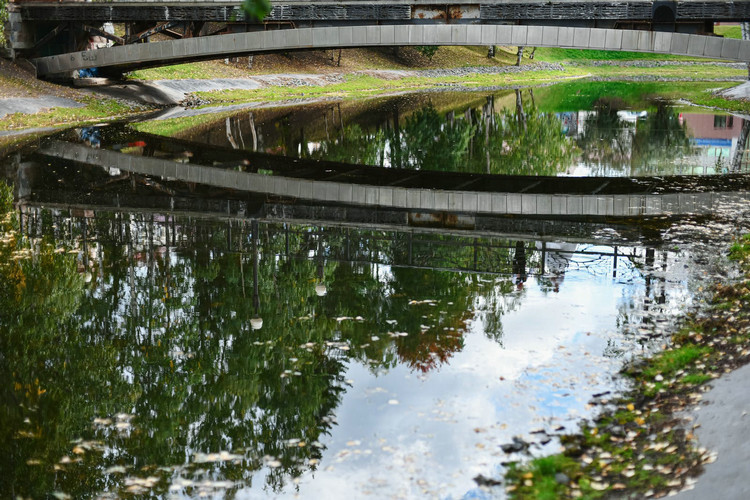 氨氮 氨氮