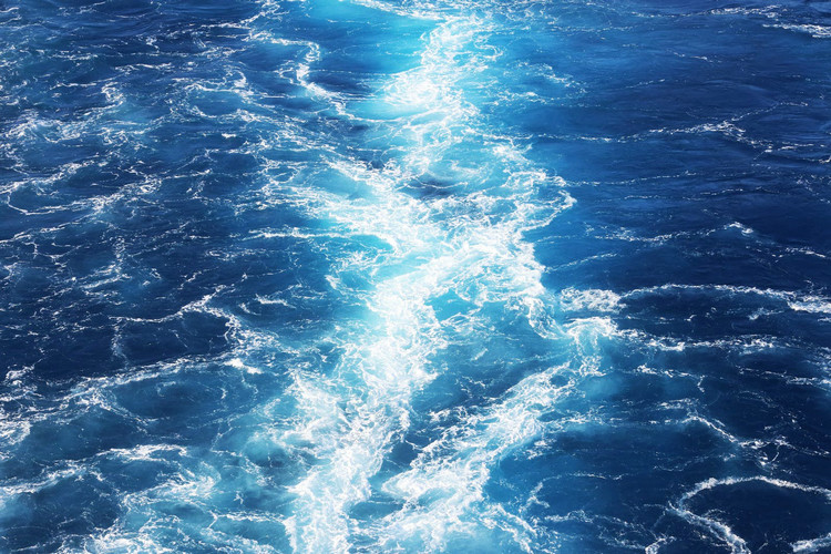 COD快速测定仪、氨氮测定仪等水质检测仪 COD快速测定仪、氨氮测定仪等水质检测仪