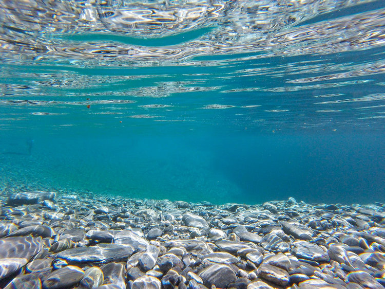 氨氮测定仪 氨氮测定仪