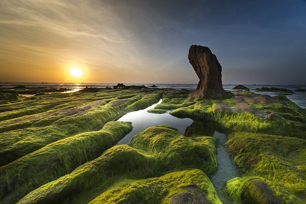 氨氮废液对环境的影响.jpg 氨氮废液对环境的影响.jpg